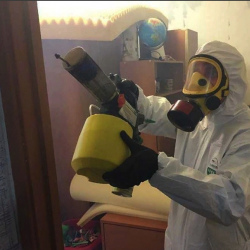 Уничтожение клопов в квартире. Мышкин
